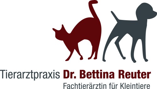 Tiermedizinische Fachangestellte (m/w/d) in Bergisch Gladbach gesucht