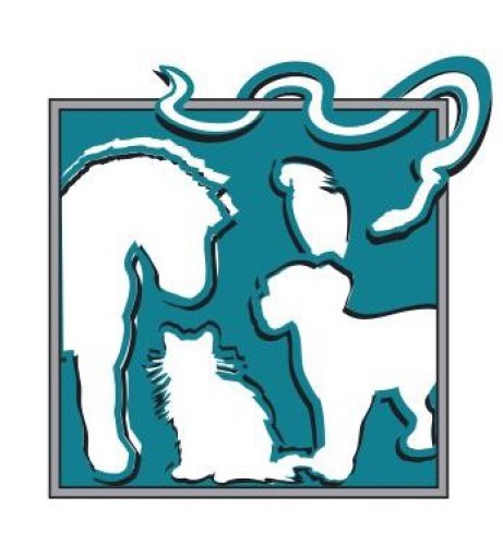 Tierarzt (m/w/d) für Kleintierpraxis in Rheine
